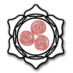 Logo Nishinkan Dojo