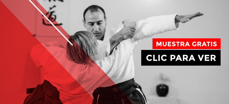 Técnicas aikidowaza.com